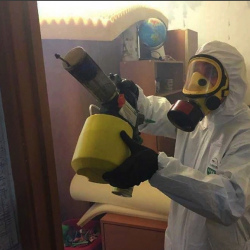 Уничтожение клопов в квартире. Нальчик